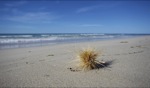 Endless Beach / Point Moore, Geraldton, WA