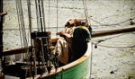Old boat & seamen / Le Vivier sur Mer