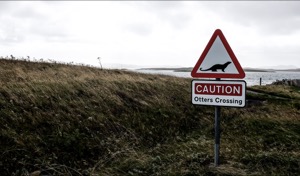 Otter Crossing, North Uist