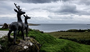 Deer, Isle of Skye