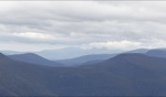 Mount Field National Park / Tasmania