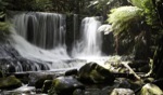 Horsehoe Falls / Mount Field National Park, Tasmania